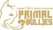 Logo gold Logo gold
