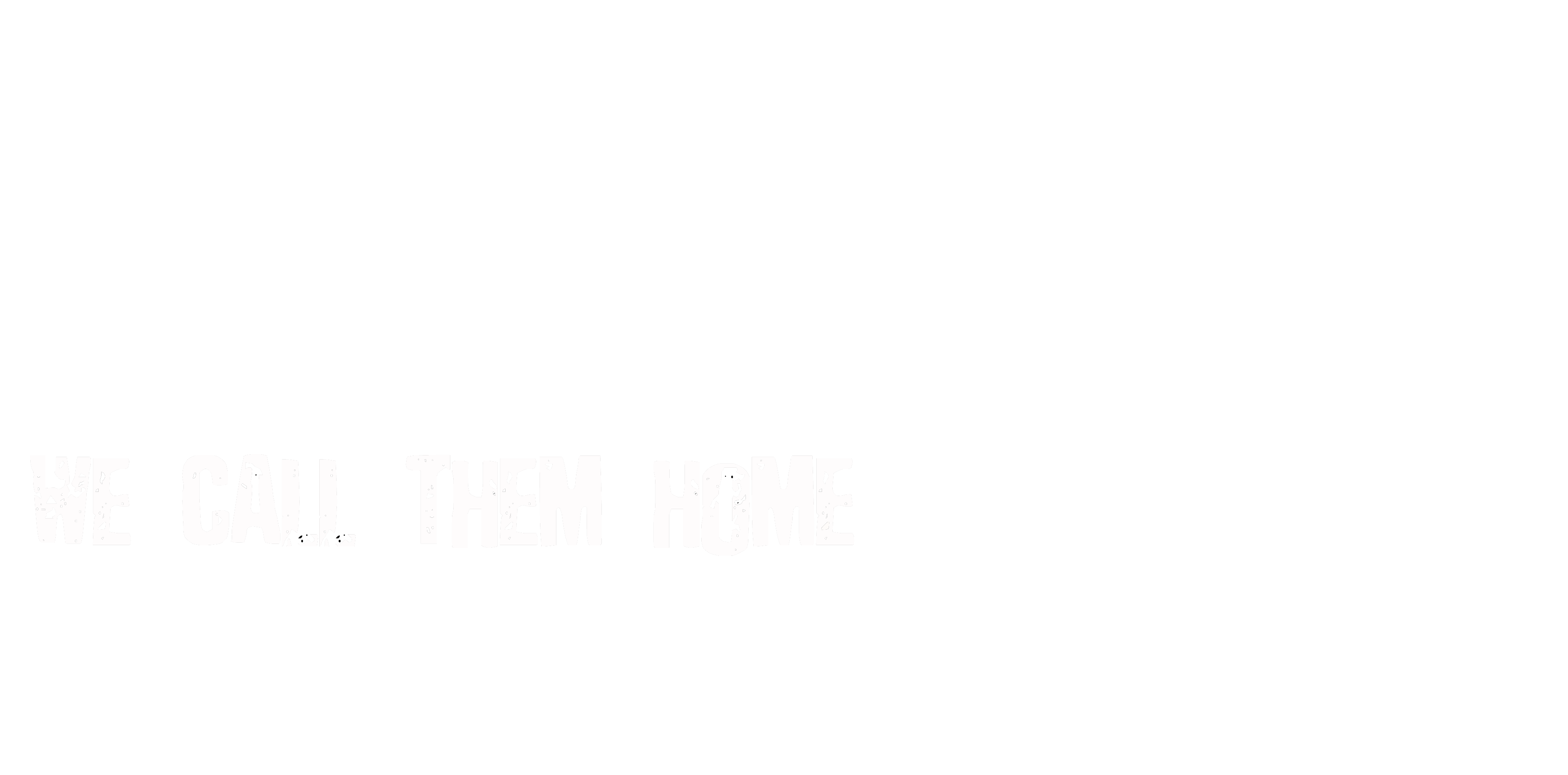 Home Home