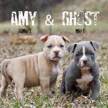 Amy & Ghost Amy & Ghost